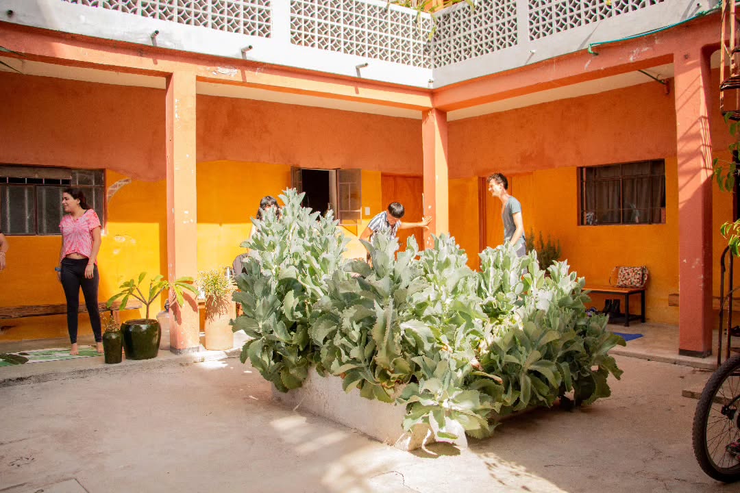 Patio y jardín
