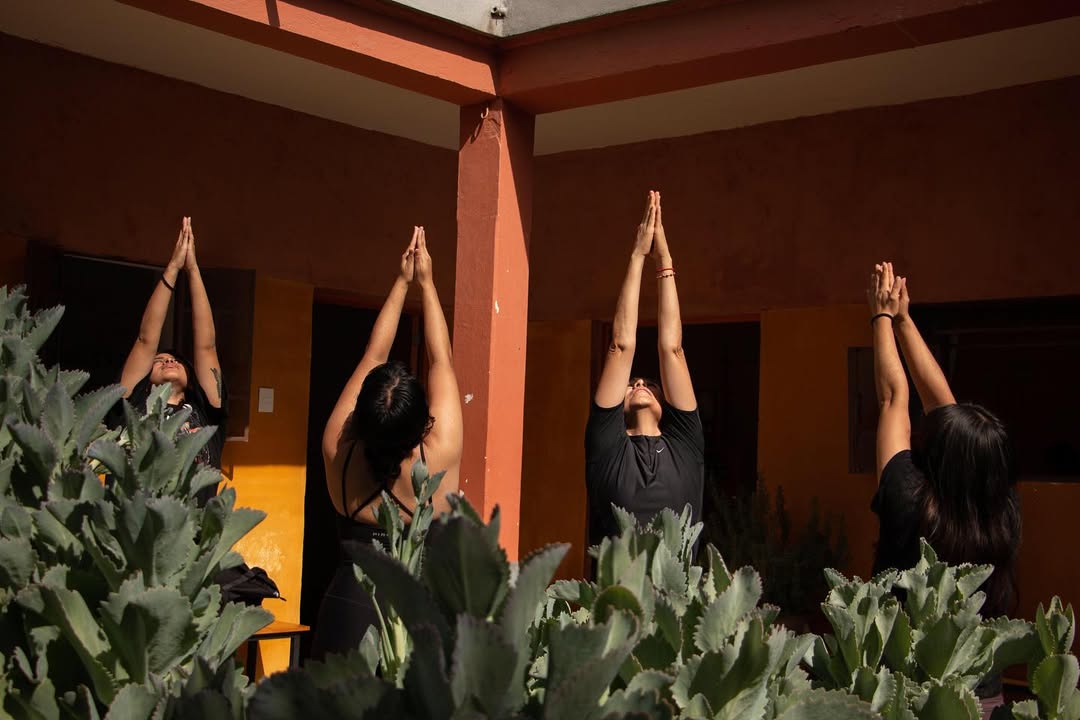 Mensajes intencionales